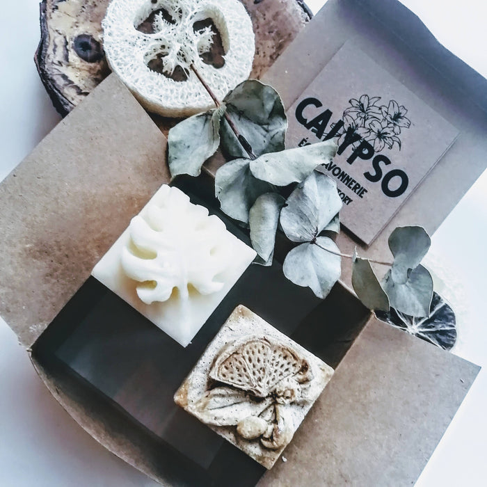 Coffret - shampoing goji & revitalisant solides - cheveux bouclés