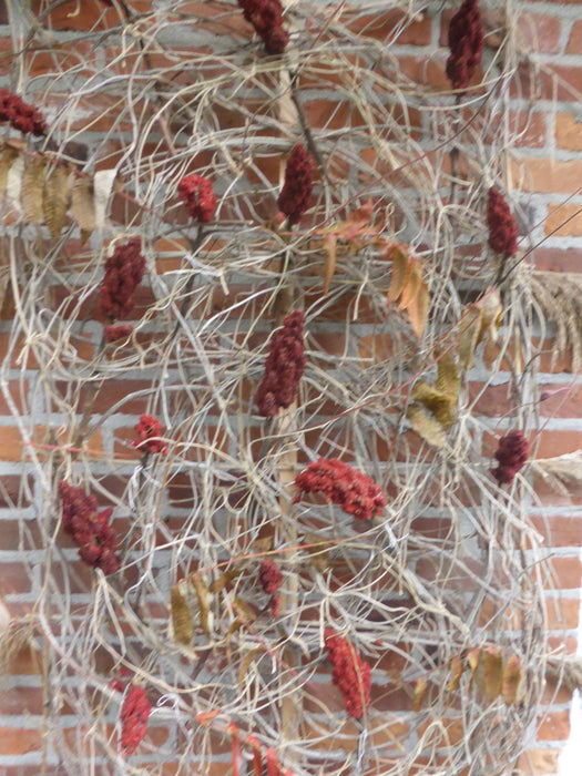 Reproductions sur papier