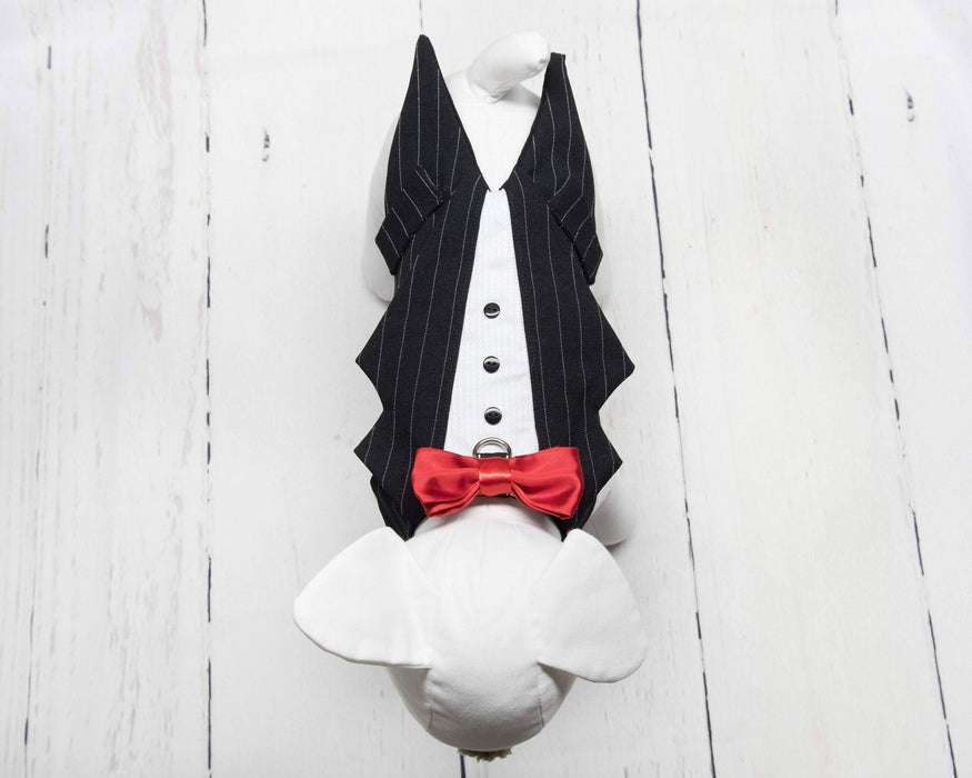Toxedo zuko noir ligné blanc pour chien pour anniversaire, mariage, fête ou autre occasion