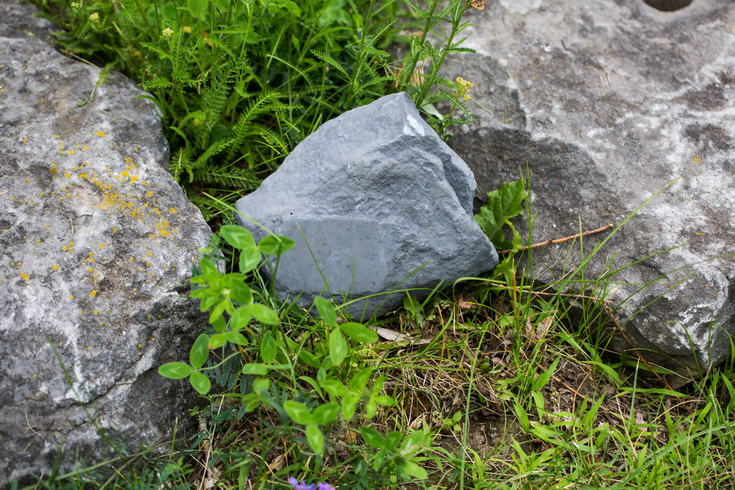 Le monument organique