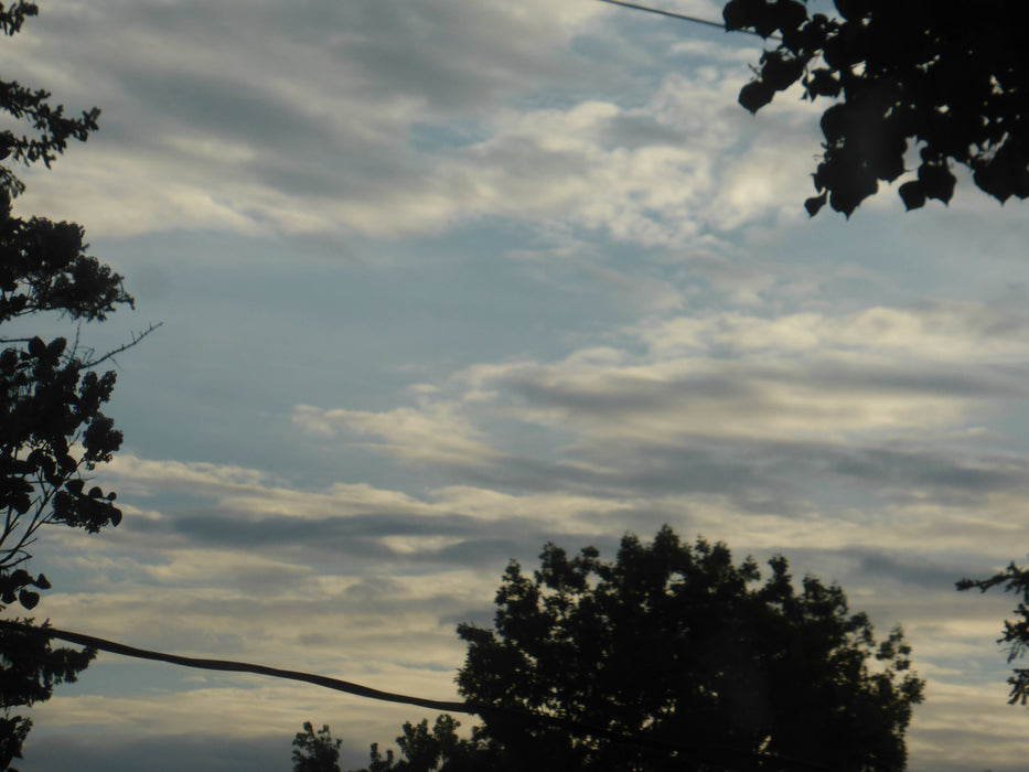 Reproductions sur papier