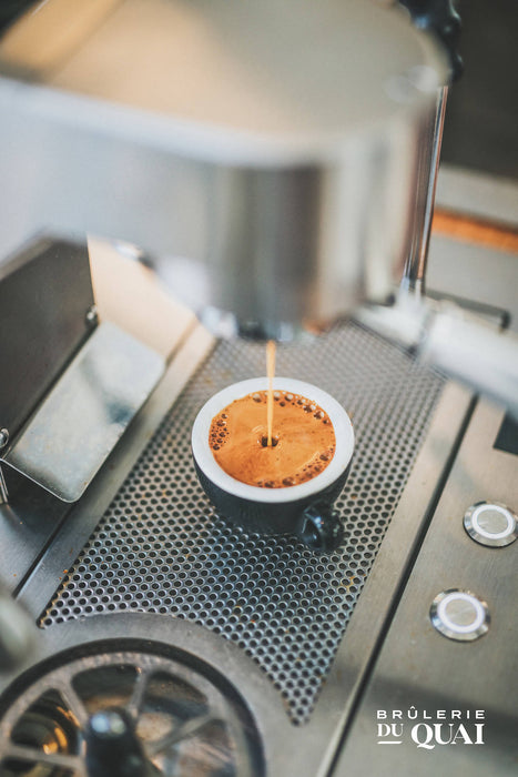 Café espresso et filtre | el mero mero en grain