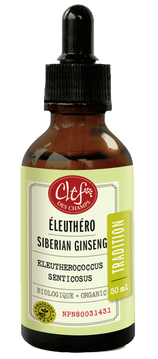 Éleuthéro - Teinture -Clef des champs -Gagné en Santé