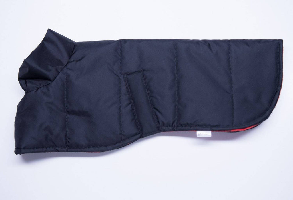 Manteau imperméable pour lévrier italien noir ou rouge - doublé de mousse isolante et polar buffalo rouge et noir