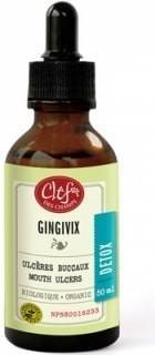 Gingivix - Teinture -Clef des champs -Gagné en Santé