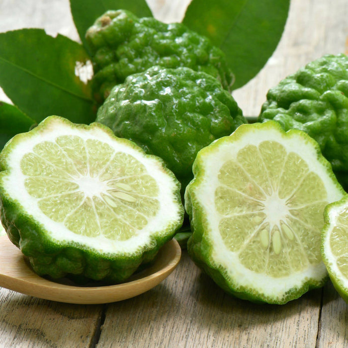 Relax 〰️ lavande + ylang ylang + bergamote + eucalyptus + menthe poivrée + orange