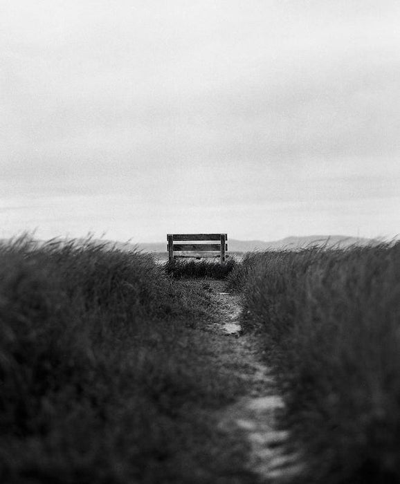 Cartes postales 5x7 (lot de 5) par jeanne lapointe 3