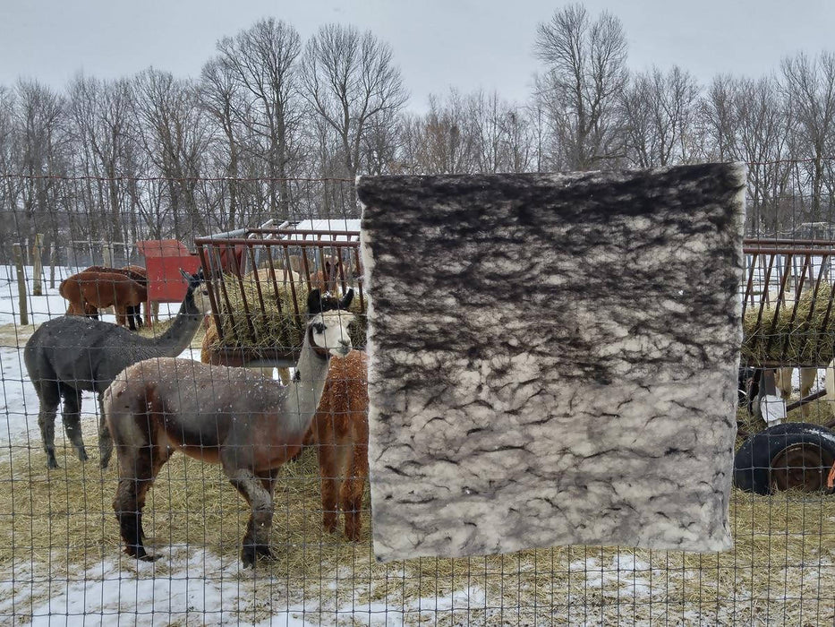 Jeté / couverture écologique naturelle et hypoallergénique : 100% alpaga