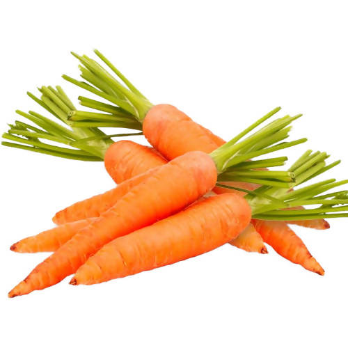 Huile de carotte (racines) biologique