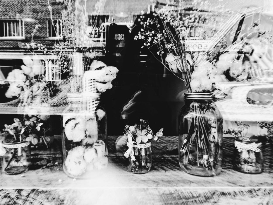 Cartes postales 5x7 (lot de 5) par véronique l'écuyer 2