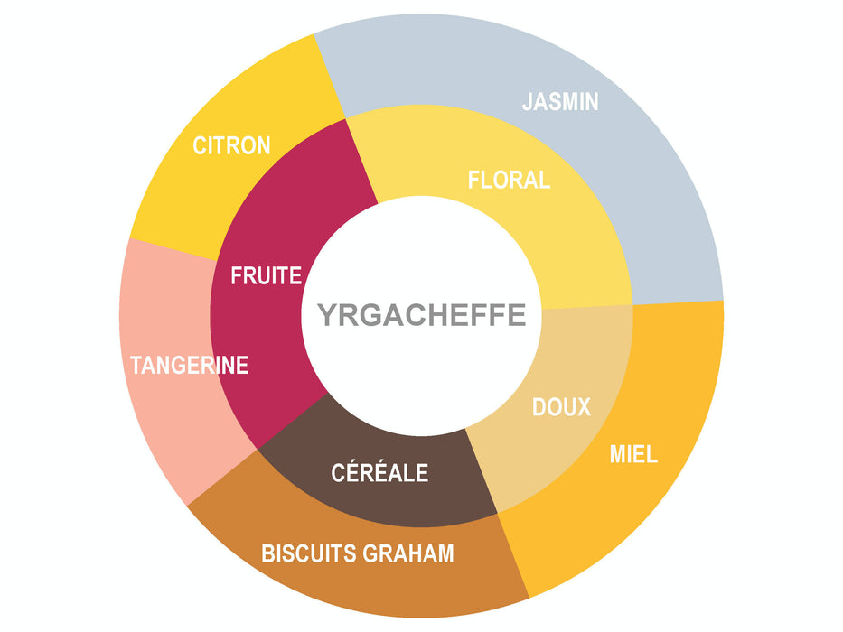 Café filtre | yirgacheffe en grain