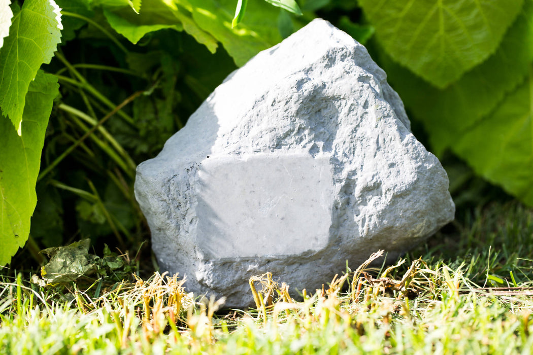 Le monument organique