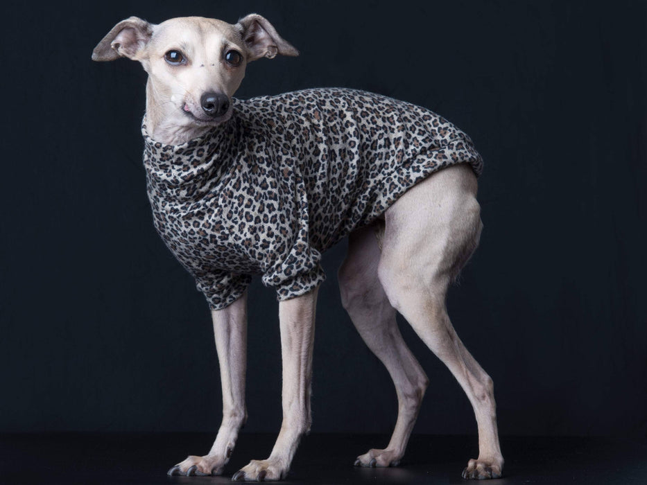 Chandail, pull, tshirt col long, medium ou court pour lévrier italien ou autres races de chien; motifs léopard beige, brun et noir