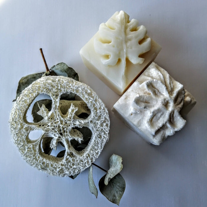 Coffret - shampoing jasmina & revitalisant solides - cheveux brillants