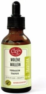 Molène - Teinture -Clef des champs -Gagné en Santé