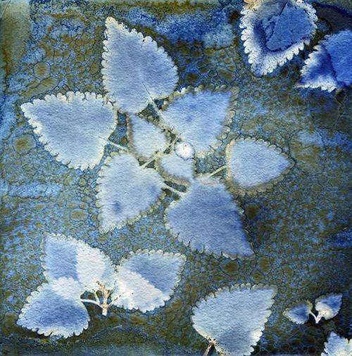 Cartes postales 5x7 (lot de 5) par daniel guy