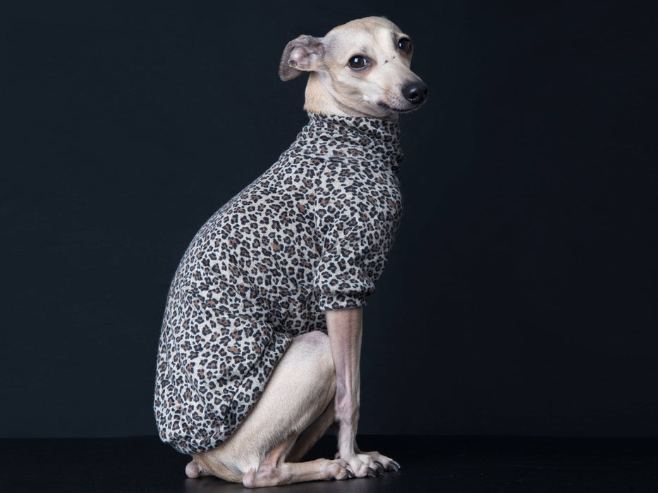 Chandail, pull, tshirt col long, medium ou court pour lévrier italien ou autres races de chien; motifs léopard beige, brun et noir