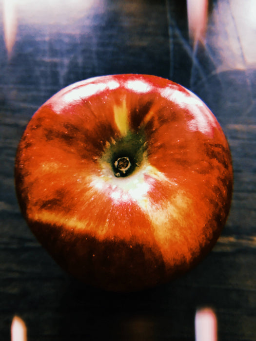 Cartes postales 5x7 (lot de 5) par véronique l'écuyer 1