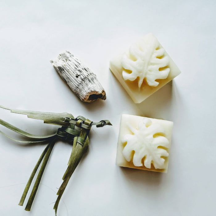 Revitalisant solide - solid conditionner