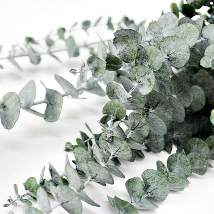 Relax 〰️ lavande + ylang ylang + bergamote + eucalyptus + menthe poivrée + orange