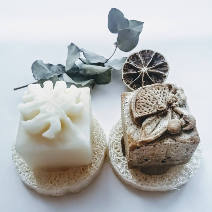 Coffret - shampoing goji & revitalisant solides - cheveux bouclés