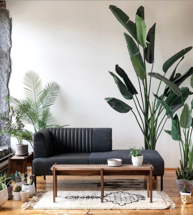 SPEAKEASY SOFA living-homeaccents PEREZ   