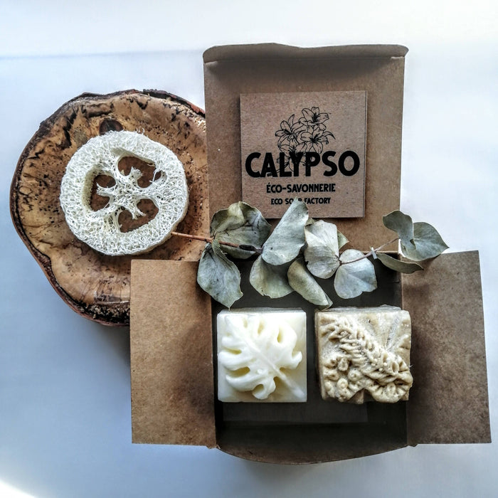 Coffret - shampoing bois et revitalisant solides - cheveux doux