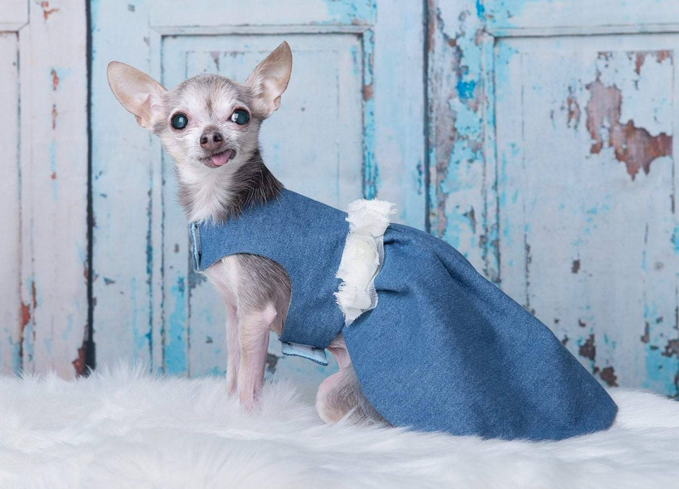 2 robes pour chien dans une : robe bleu pâle tutu chic, réversible
