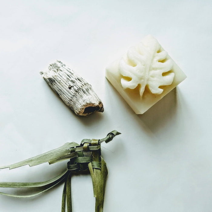 Revitalisant solide - solid conditionner