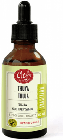 Thuya - Teinture -Clef des champs -Gagné en Santé