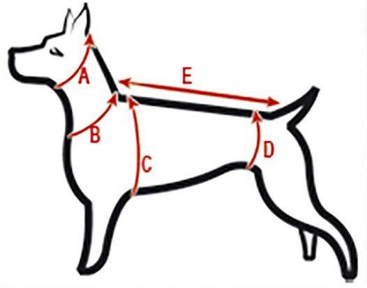 Toxedo zuko noir ligné blanc pour chien pour anniversaire, mariage, fête ou autre occasion