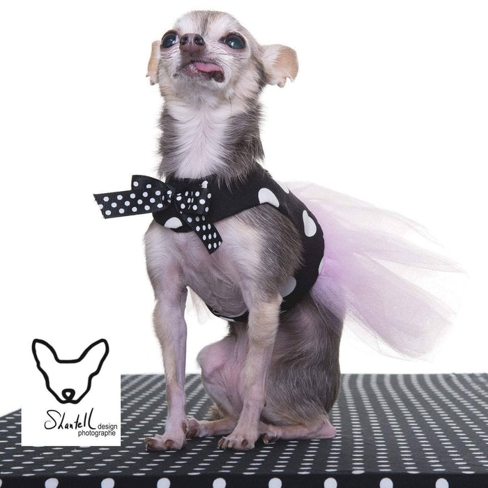Robe harnais en coton noir à gros pois blanc et tutu tulle rose pour chien xxxs, xxs, xs, s, m et l