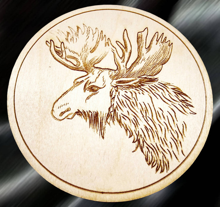 Ensemble sous-verres animaux