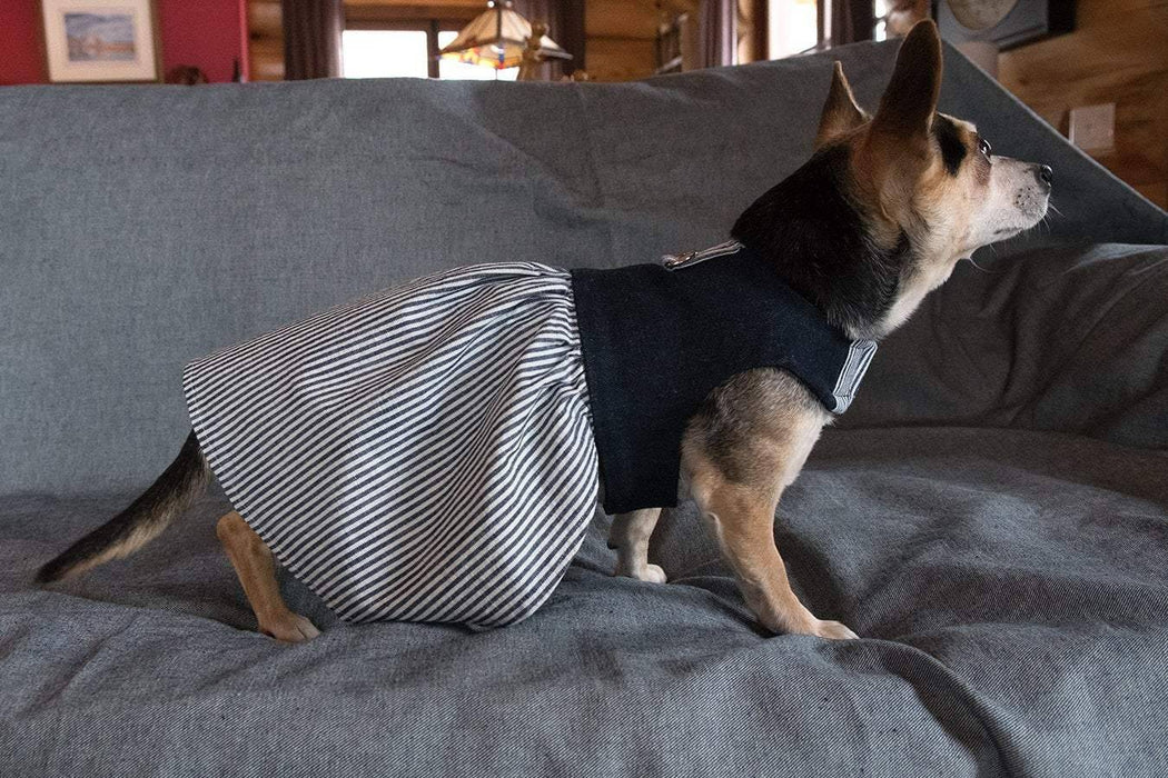 Robe harnais en denim jeans bleu foncé et ligné bleu et blanc pour chien xxxs, xxs, xs, s, m et l