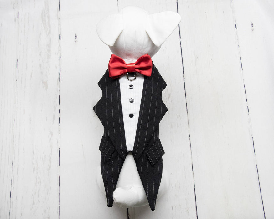 Toxedo zuko noir ligné blanc pour chien pour anniversaire, mariage, fête ou autre occasion