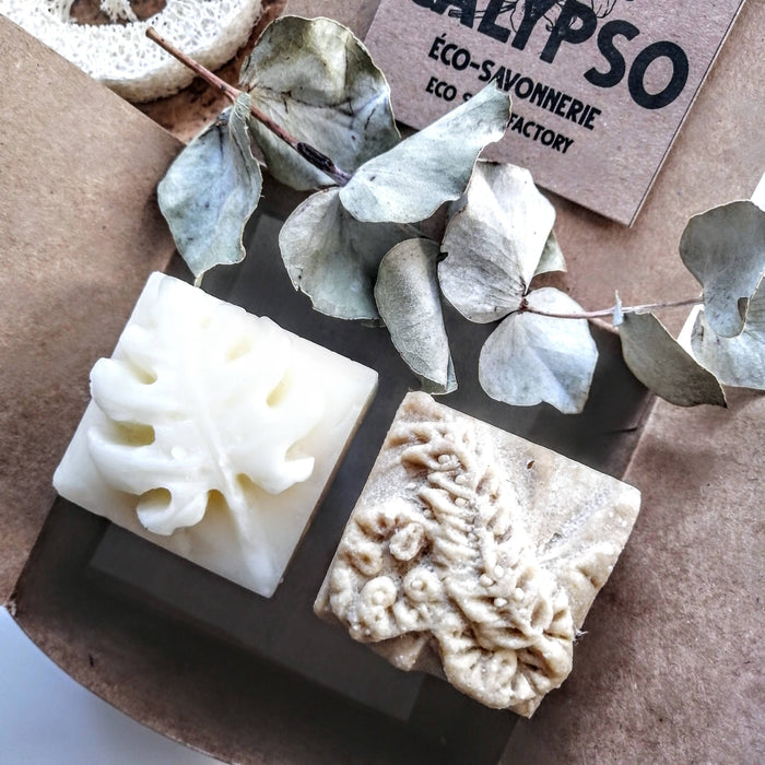 Coffret - shampoing bois et revitalisant solides - cheveux doux